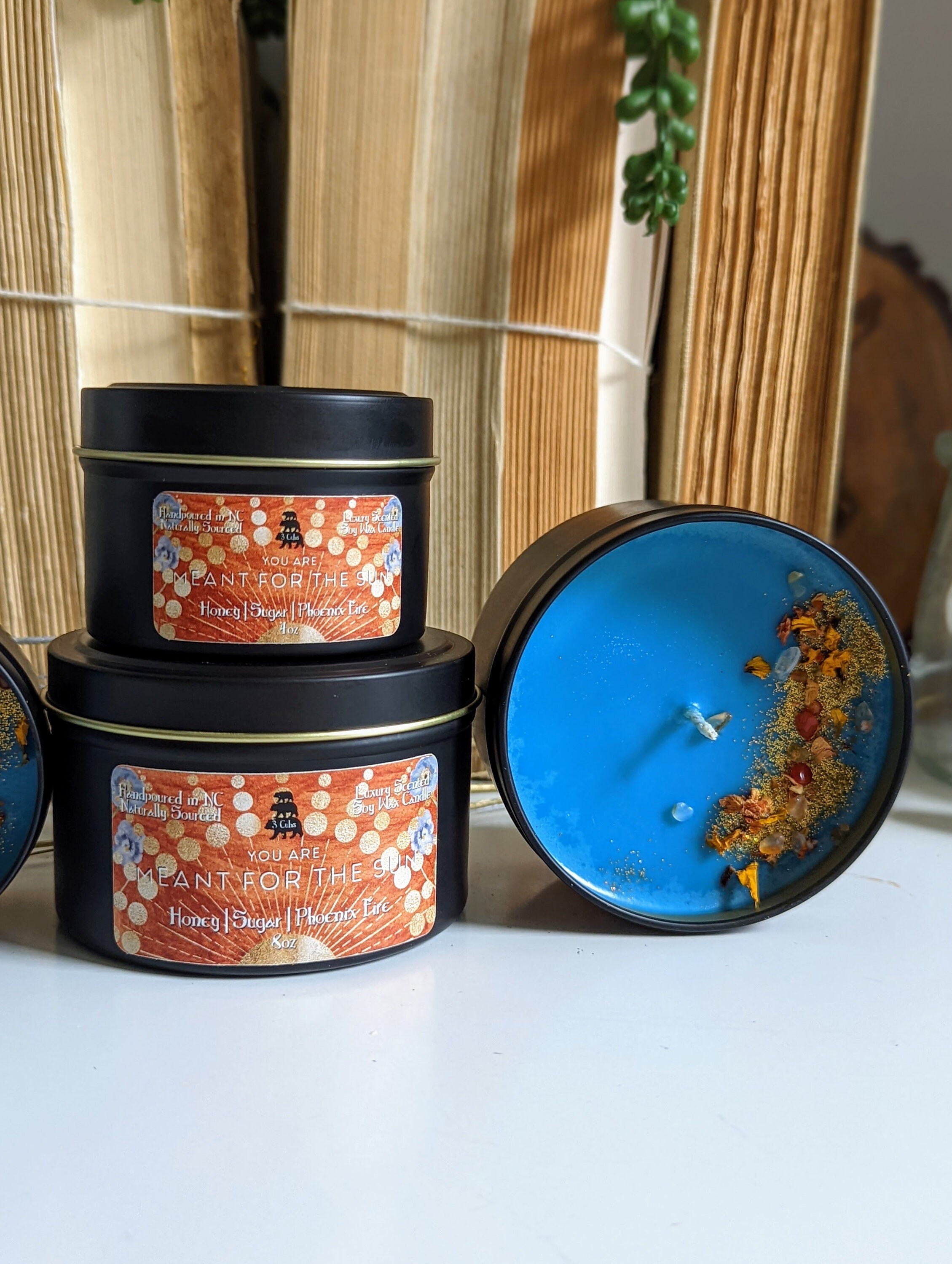 Darcy Zodiac Academy Aesthetic Bookish Candles, Book Merch Best Friend Book Lover Gift, Mothers Day Gift, Booktok Bookish Gifts, Shelf Decor