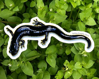 Santa Cruz Black Salamander Sticker
