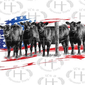 WESTERN COW FARM Png Sublimation, Angus Cattle Png,4th of July, Farm Png, Patriotic Png, American Flag Png, Usa Png, Ranch Png, Punchy Png