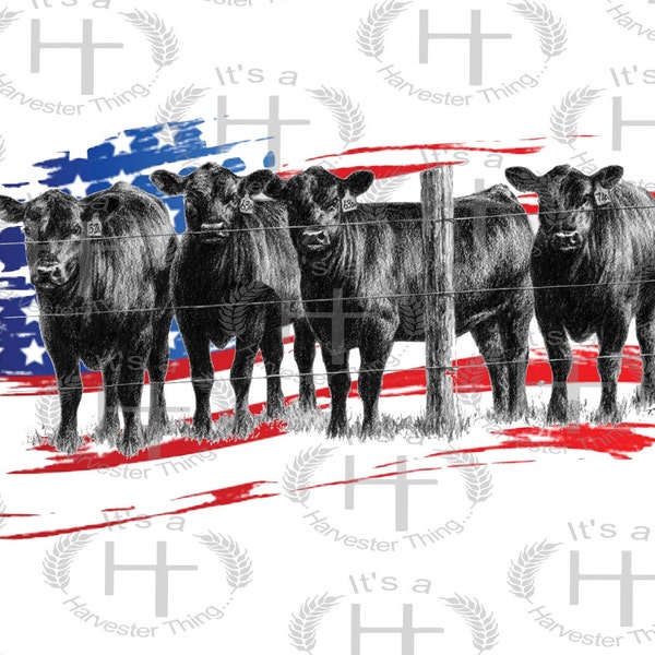 WESTERN COW FARM Png Sublimation, Angus Cattle Png,4th of July, Farm Png, Patriotic Png, American Flag Png, Usa Png, Ranch Png, Punchy Png
