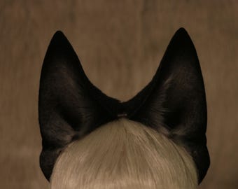 Large, Wolf ears