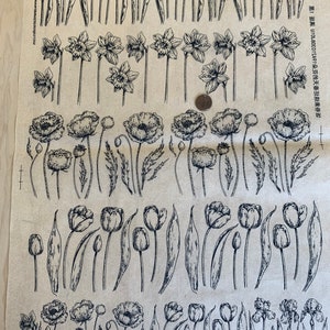 Fleurs de printemps