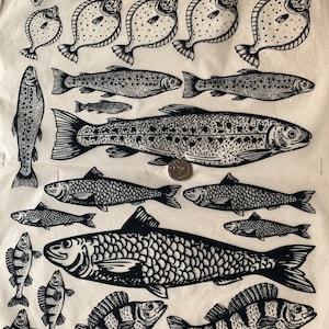 Here fishy fishy