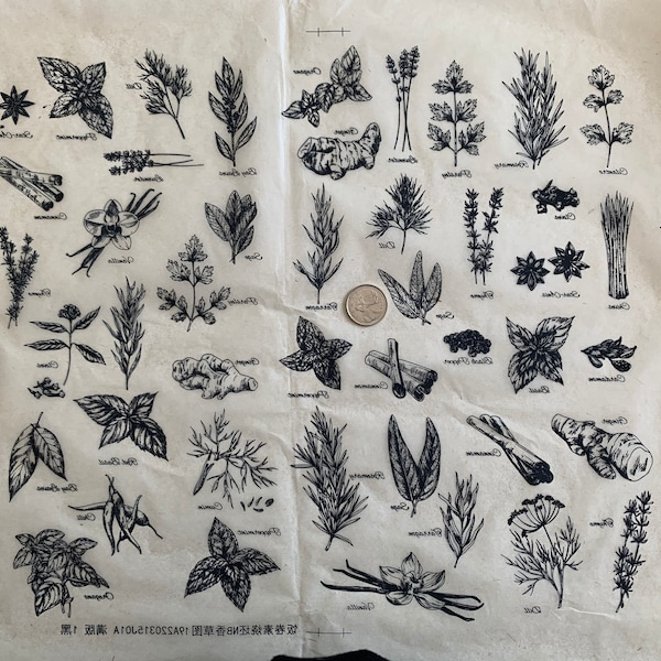Könnte beinhalten: Eine Schwarzweißillustration verschiedener Kräuter und Gewürze, darunter Rosmarin, Basilikum, Lavendel, Ingwer, Zimt, Sternanis und Vanille. Das Bild befindet sich auf einem braunen Papierhintergrund mit dem Text "www.ceciliacharles.com" in der oberen rechten Ecke.