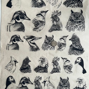 May include: A black and white illustration sheet featuring various bird and animal drawings. The sheet includes a puffin, a woodpecker, a cardinal, an eagle, a duck, a blue jay, a rooster, an owl, a hawk, and a goose.