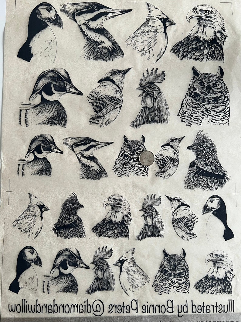 K&ouml;nnte beinhalten: Ein Schwarzwei&szlig;-Illustrationsblatt mit verschiedenen Vogel- und Tierzeichnungen. Das Blatt enth&auml;lt einen Papageitaucher, einen Specht, einen Kardinal, einen Adler, eine Ente, einen Blauh&auml;her, einen Hahn, eine Eule, einen Habicht und eine Gans.