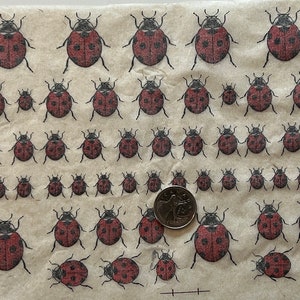 May include: A sheet of brown paper with a repeating pattern of red ladybugs of various sizes. The ladybugs are printed in black outline with red fill. A silver coin is placed in the center of the sheet.