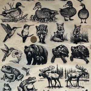 Könnte beinhalten: Eine Sammlung von Schwarz-Weiß-Illustrationen verschiedener Tiere, darunter Vögel, Eulen, Enten, Kolibris, Füchse, Bären, Schildkröten, Frösche, Elche, Hirsche und Wölfe. Die Zeichnungen sind detailliert und auf gealtertem Papier gedruckt.