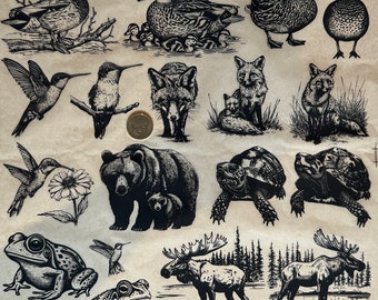 Animals and Family