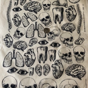 May include: A black and white illustration of various human organs and bones, including a brain, heart, lungs, skull, teeth, and spine. The illustrations are repeated in a pattern on a beige background.