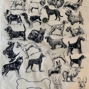 Puede incluir: Una ilustración en blanco y negro de varias razas de perros. La imagen incluye una variedad de razas de perros, incluyendo un pug, un dálmata, un dachshund, un husky y un corgi. Los perros están todos dibujados de una manera simple y estilizada.