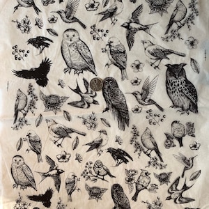 Woodland birdies