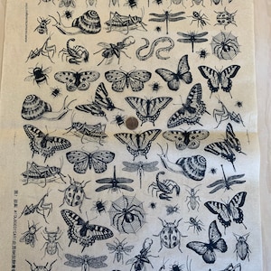 Può includere: Una stampa beige con numerose illustrazioni dettagliate di insetti, tra cui farfalle, coleotteri, libellule e lumache. Gli insetti sono raffigurati con inchiostro nero, creando uno stile di illustrazione scientifica vintage. È presente del testo.