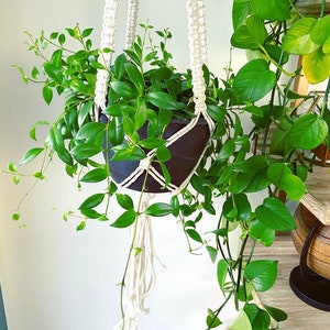 Large Macrame Plant Hanger | Plant Holder | Macrame | Boho Home Decor| Wall Decor | Wall Art | Houseplants