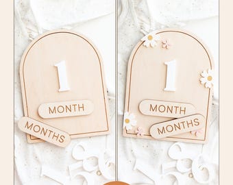 Interchangeable Monthly Milestones Sign Baby Laser Cutting File Engraving Design Floral and Plain Versions
