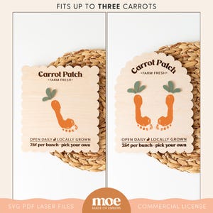 Puede incluir: Dos letreros de madera con temática de huerto de zanahorias. Los letreros tienen forma de zanahoria y tienen el texto "Carrot Patch - Farm Fresh". Los letreros están sobre un fondo de paja trenzada.