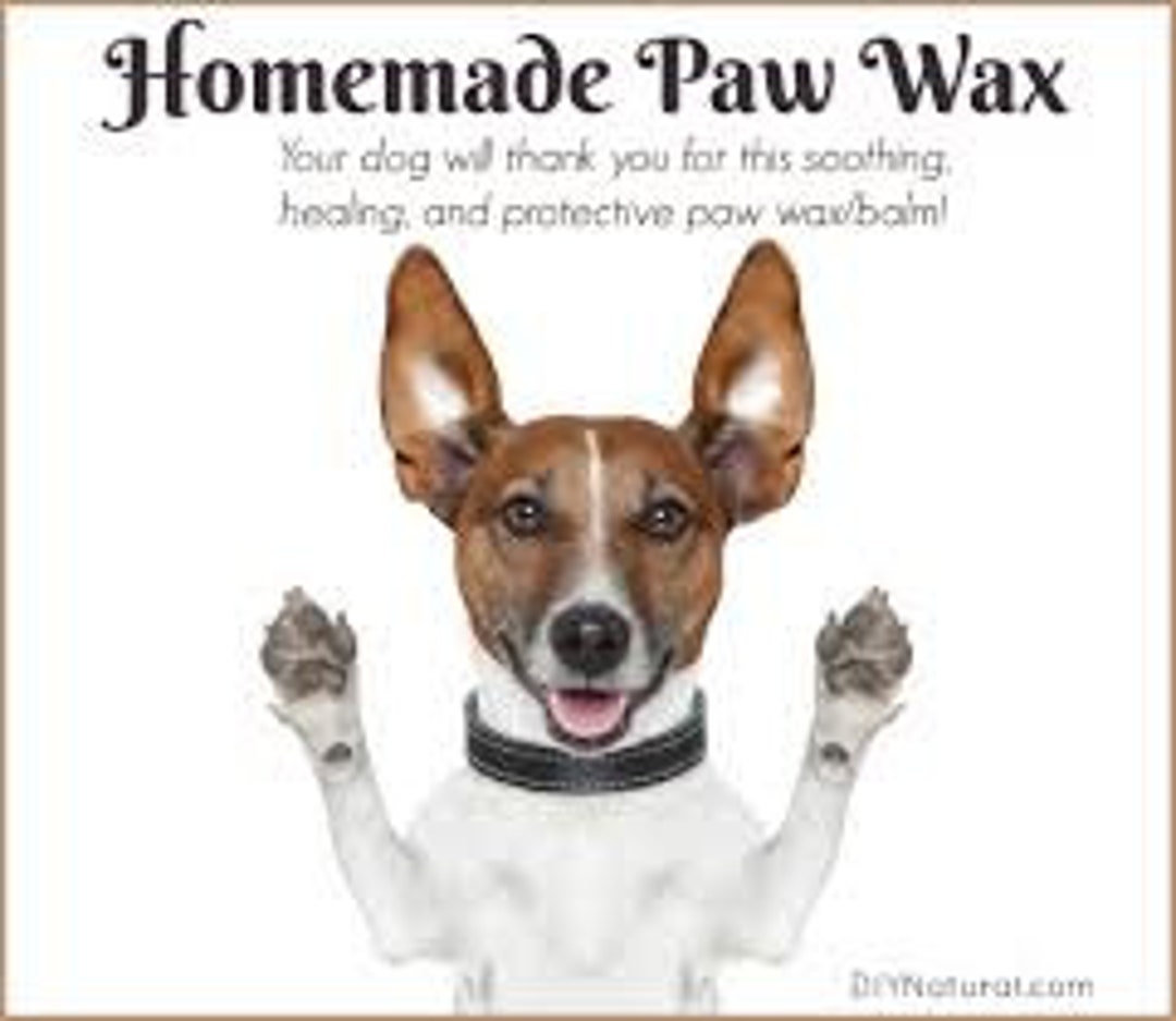 Dog Paw Balm beeswax Dog Paw Butter all Natural Wonds and Rash moisturizing Balm for Dry and Rough Paws Etsy Canada