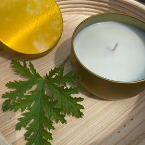 Citronella Sojawachskerze | Citronella hochduftende Outdoor-Sojakerze | Tierversuchsfrei | vegan | Kerze mit Mückenschutz