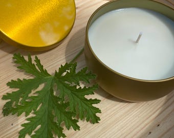 Vela de cera de soja con citronela / Vela de soja con citronela para exteriores con aroma intenso / Sin crueldad animal / Vegana / Repelente de mosquitos e insectos