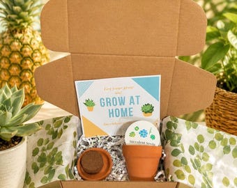 May include: A brown cardboard shipping box containing a succulent growing kit. Inside are a small terracotta pot, a compressed soil disc, a packet labeled Succulent Seeds, and an instructional card with the text Get your grow on! GROW AT HOME.
