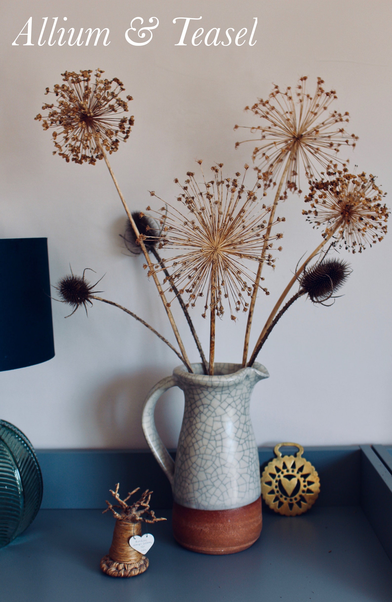 Dried Seedheads Allium Poppy and Teasel Etsy