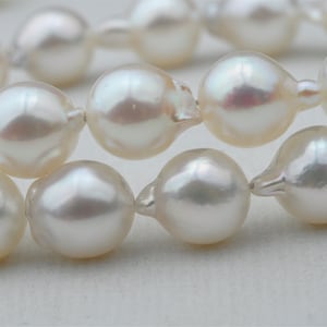 7.5-8mm Natural White Color Akoya Pearl Strand para diseño de collar---EHA001