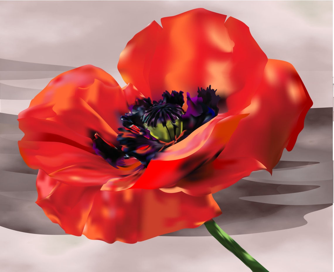 Red Poppy, Digital Print, Wall Art, Digital Poppy Art, Poppy Print