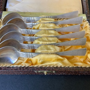 Könnte beinhalten: Ein Set aus sechs silbernen Teelöffeln mit verzierten Designs, präsentiert in einer braunen Lederkiste mit gelber Satin-Auskleidung.