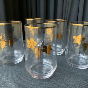 Vintage Glasses, All-Purpose Ware with Gold Grapes Leaves, set of 5 glasses.