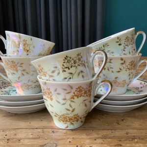 Vintage sehr dünnes Porzellan Kaffee Espresso Set für 6 "Mrianna", Perlmutt, hergestellt von Riga Porzellanfabrik RPR.