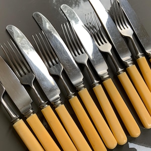 May include: A set of stainless steel flatware featuring four forks and four knives with smooth, cream-colored handles. Each piece has a polished metal finish and a rounded handle design, arranged in an alternating pattern of forks and knives.