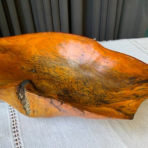 Birch burl bowl Wall mounted