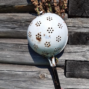 Op de afbeelding: Een witte, vintage vergiet met een zwarte handgreep en veel kleine gaatjes. Het vergiet vertoont tekenen van roest en is gevuld met gedroogde planten. De achtergrond bestaat uit verweerde houten planken.