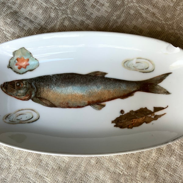 Fish Plates - Etsy