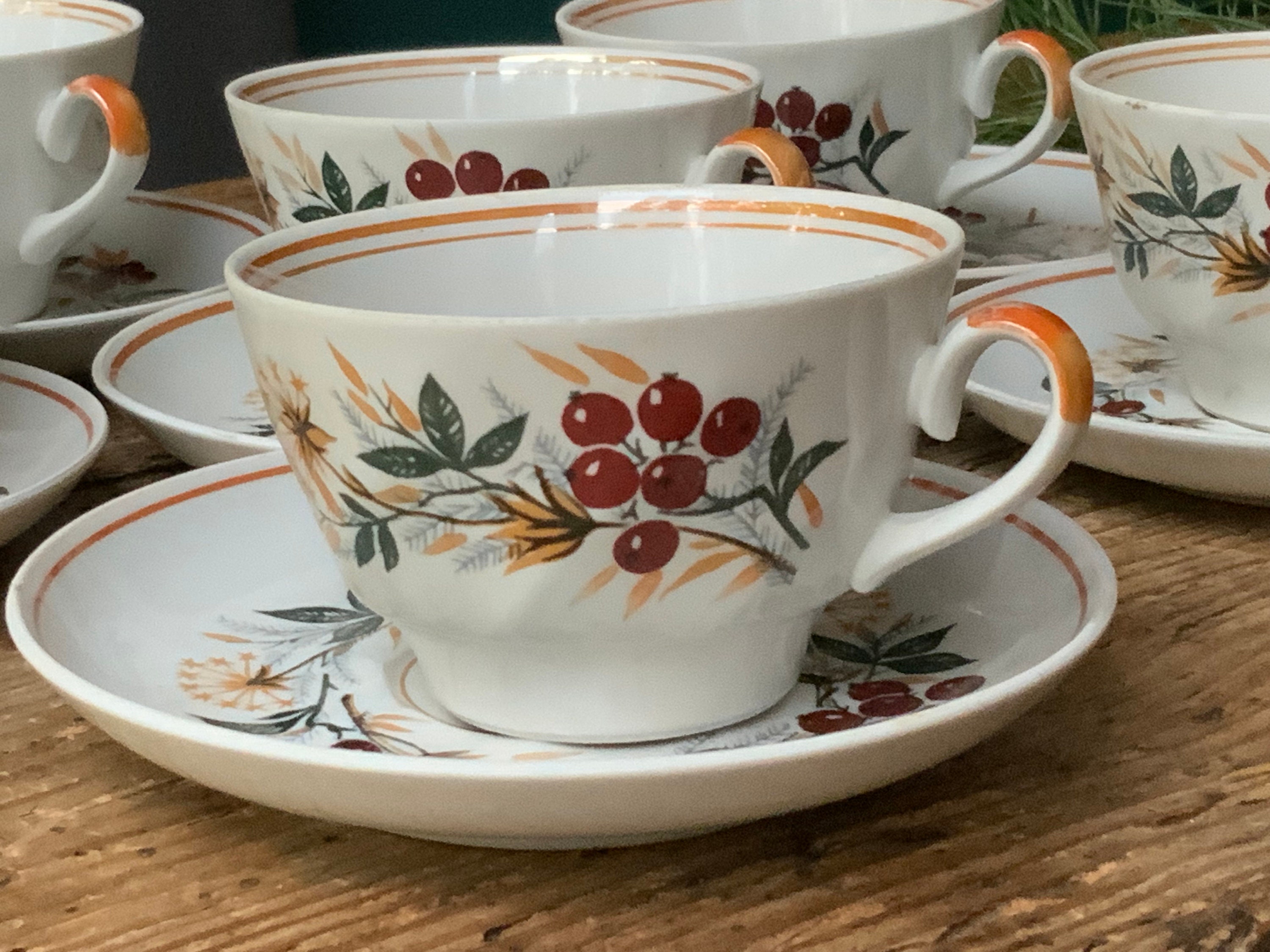 ヴィンテージ リガ磁器コーヒーカップ＆ソーサー：マウンテンアッシュ