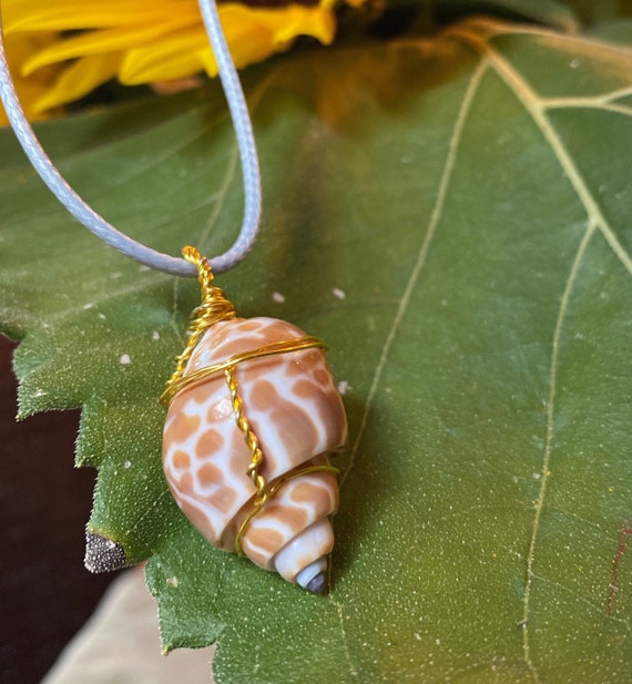 Etsy store seashell necklace