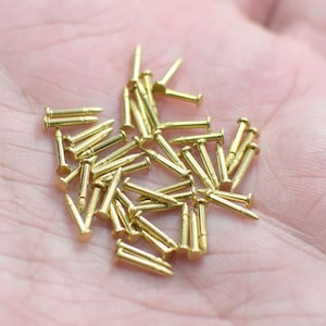 Könnte beinhalten: Ein Haufen kleiner, goldfarbener Nägel oder Nieten, wahrscheinlich für Bastelarbeiten oder Heimwerkerprojekte verwendet.