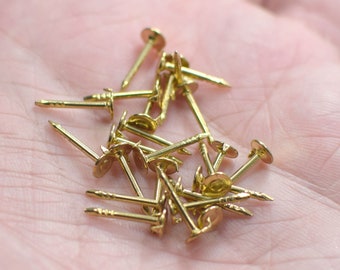 Raw Brass Rosette Nail - Brass Badge Rosette Nail -  5 mm Tag - 12 mm nail length