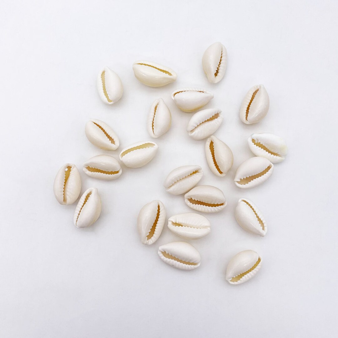 Shells For Macrame Set of 10 Drilled Cowrie Shells for Macrame Creation, Micro Macrame ...