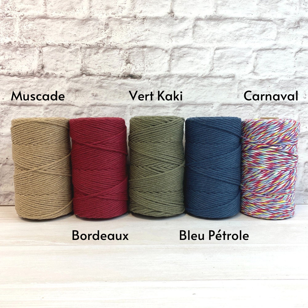 Bleu Arts: I-Cord Knitting Machine  Machine knitting, Spool knitting, Loom  knitting projects