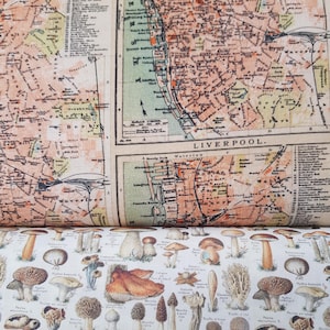 NOUVEAU !!! Tim Holtz "Palette" - les cartes orange et le champignon - PWTH233 "0,5 m x 1,10 m