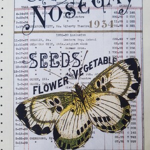 Op de afbeelding: Vintage print met een vlinder in geel, zwart en wit op ruitjespapier. De tekst bevat "NOSEGAY", "SEEDS", "FLOWER", "VEGETABLE" en "Garden Book". Nostalgisch, botanisch thema.