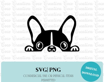 Peeking Boston Terrier SVG, PNG, Cut File (Digital Download)
