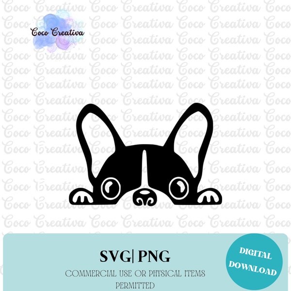 Peeking Boston Terrier instant digital download, svg, png, sublimation, cut file for cricut, silhouette, decal