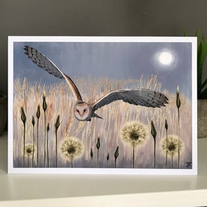 Barn Owl Card, Handmade card, Art Card, Barn owl in moonlight, British birds card, Wildlife card, Nature, Moonlight, Barn owl, Dandelions