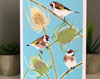 Carte chardonnerets, carte oiseau, carte de voeux faite main, chardonnerets sur cardères, impression haute qualité, carte vierge, oiseaux britanniques, carte d'art, nature