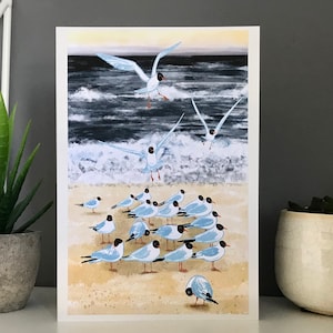 Cartão de gaivota, cartão feito à mão, gaivotas, gaivotas de cabeça preta, cartão de felicitações em branco, cartão de impressão artística, pássaros britânicos, cartão à beira-mar, praia da gaivota