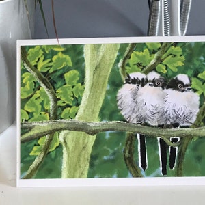 Chapins de cauda longa, pássaros no galho, pássaros britânicos, cartão de felicitações em branco, cartão de impressão de arte, cartão de vida selvagem, cartão da natureza, aglomeração de chapins de cauda longa