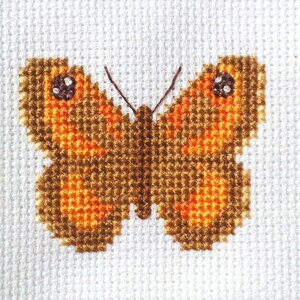 May include: A brown and orange butterfly cross-stitch pattern on white fabric.