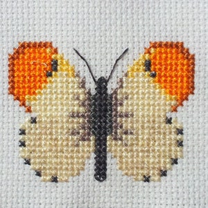 Cross stitch, Orange Tip butterfly, life sized, fine embroidery, DMC and Anchor, thread codes, clear chart, symbols and colours, wildlife